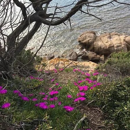 Casa Cielit'o Propriano (Corsica)