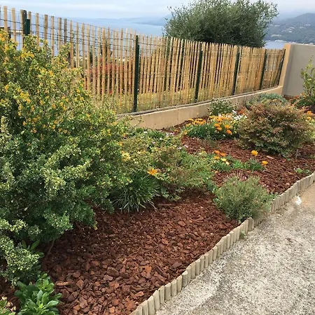 فيلة Propriano *