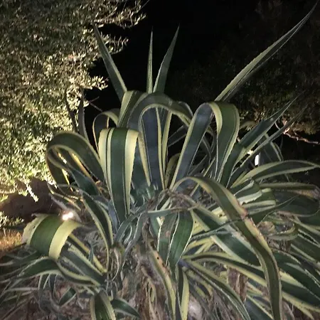 فيلة Propriano *