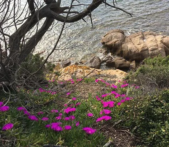 Propriano Propriano (Corsica)